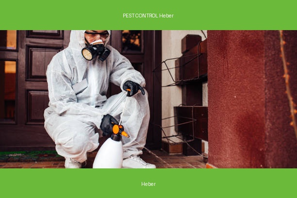 PEST CONTROL Heber